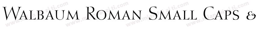 Walbaum Roman Small Caps & Oldstyle Figures字体转换